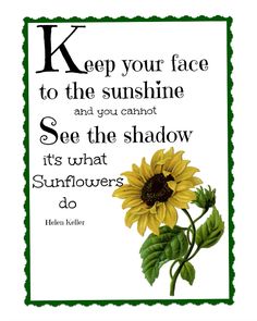 Sunflowers The Nice People Foundation